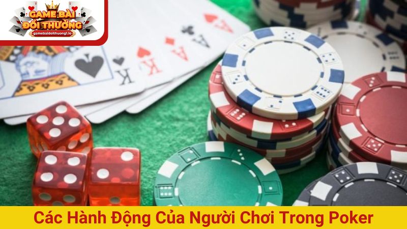 Các hành động của người chơi có trong một ván poker
